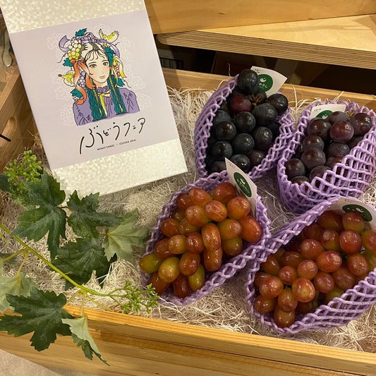 【終了しました】9/20~10/20 葡萄フェア2024
