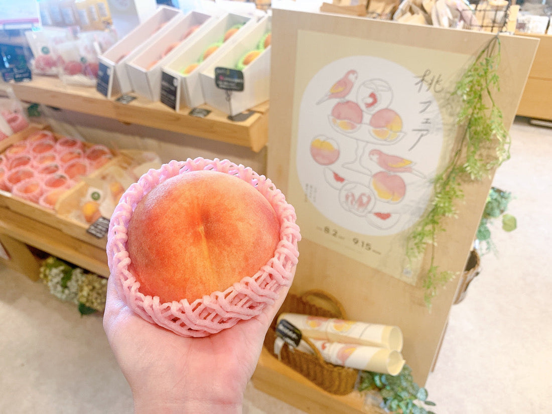 【終了しました】8/2～9/15 桃FAIR2025